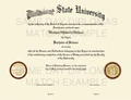 Associate Degree Diploma – Custom Replica from Same Day Diplomas - Image 12