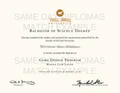 Associate Degree Diploma – Custom Replica from Same Day Diplomas - Image 15