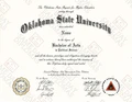 Associate Degree Diploma – Custom Replica from Same Day Diplomas - Image 2