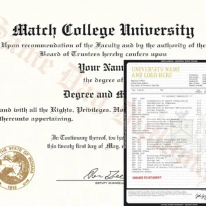 Bachelor Degree Diploma & Transcripts