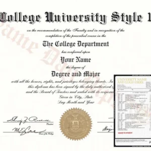 College and University Diploma, Stock Design & Transcripts