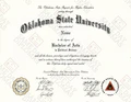 College and University Match Diplomas from the USA - Image 2