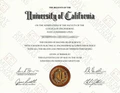 College & University Match Diploma, Degree & Match Transcripts, USA - Image 17