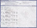 College & University Match Diploma, Degree & Match Transcripts, USA - Image 5